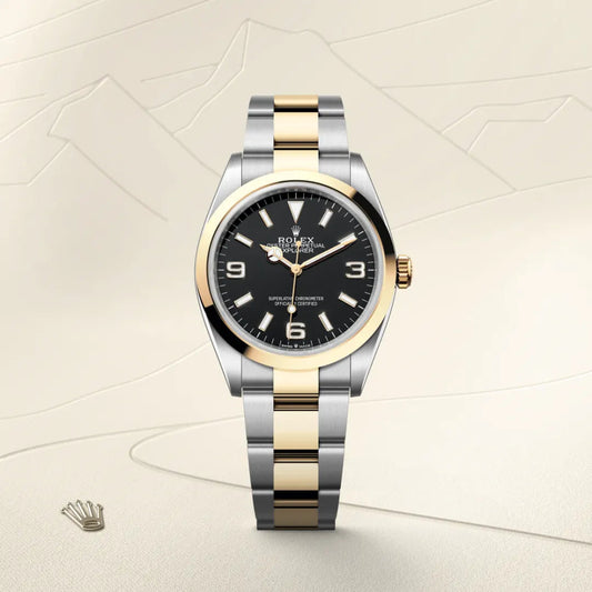 Rolex エクスプローラー 36 オイスター、36 mm、オイスタースチール&イエローゴールド リファレンス 124273 ¥ 1,943,700