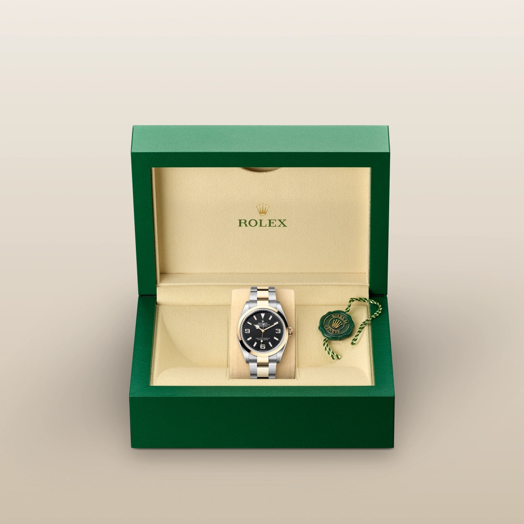 Rolex エクスプローラー 36  オイスター、36 mm、オイスタースチール＆イエローゴールド  リファレンス 124273  ¥ 1,943,700